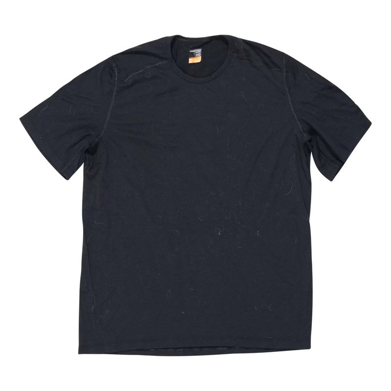Icebreaker Merino 200 T-Shirt - Men's