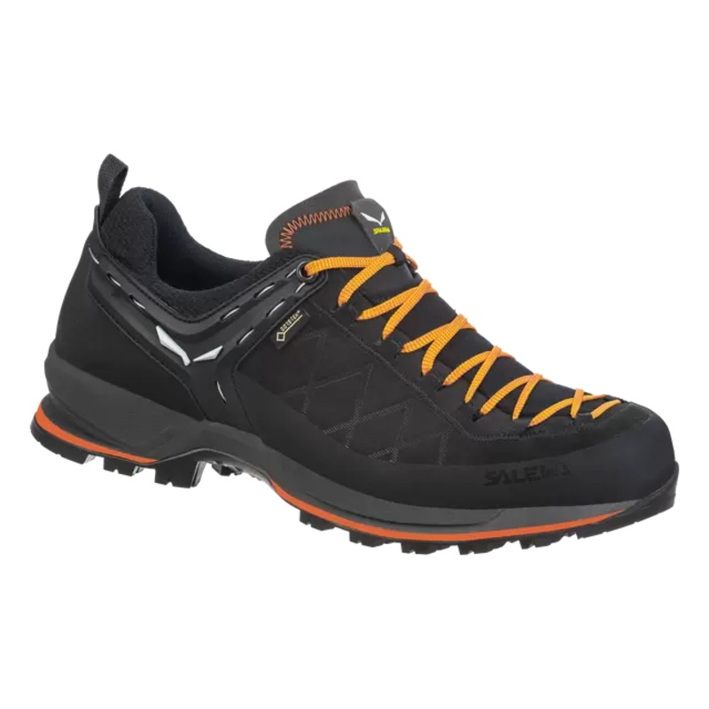 Salewa MTN Trainer 2 GTX - Men's