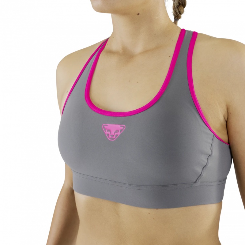 Dynafit Alpine Bra - Women's