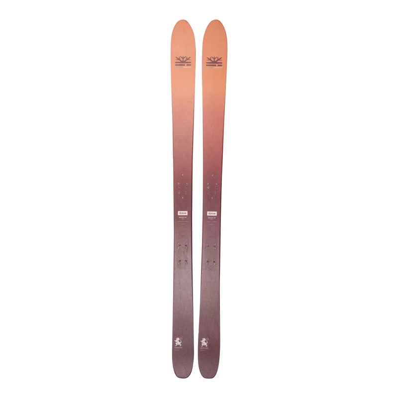 DPS Wailer 99 Foundation Skis 2019