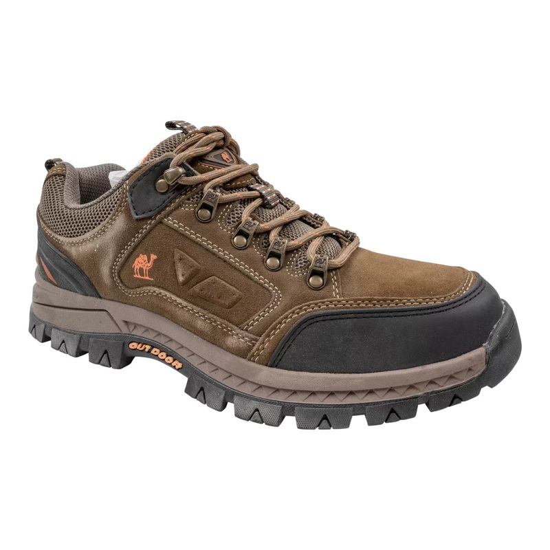 Camel Crown Hiking Shoes
