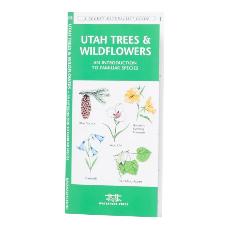 Utah Trees & Wildflowers